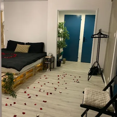 Grand Confort Au Coeur Du Centre Apartment *